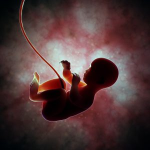 Umbilical Cord-Related Injuries Can Be Life-Threatening