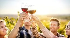 Four people raise glasses of wine for a toast outdoors, under a sunny sky.