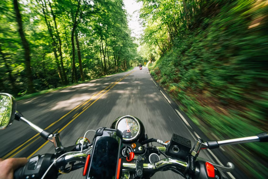 road with trees from the perspective of a motorcyclist with handlebars of motorbike in view